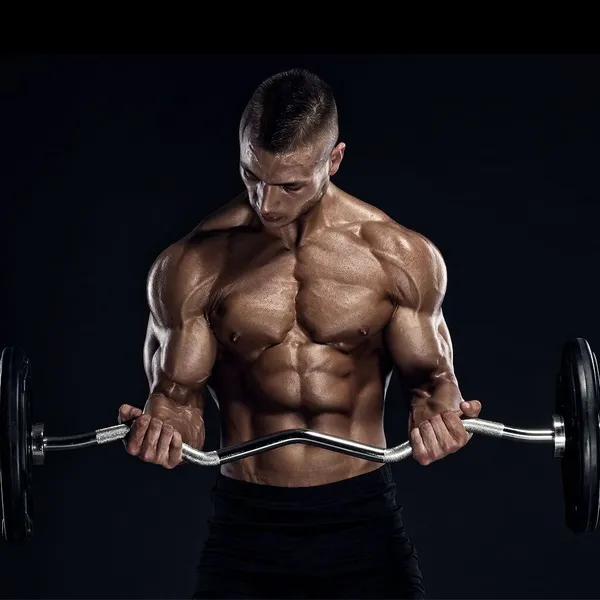 Barbell Curl