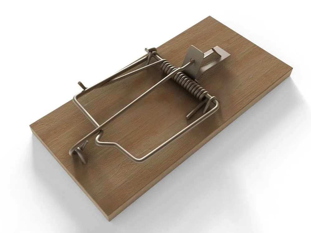 Best Bait For Mouse Traps