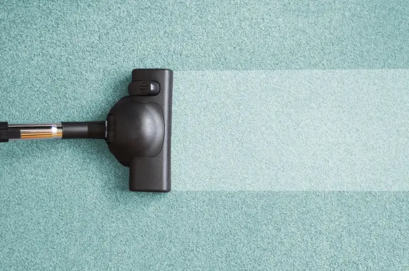 Best Carpet Cleaner