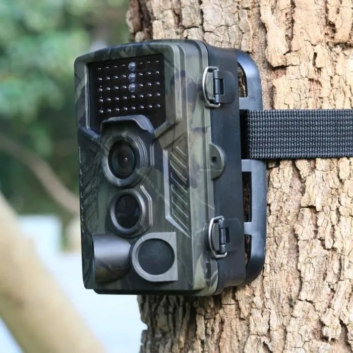 Best Cellular Trail Camera