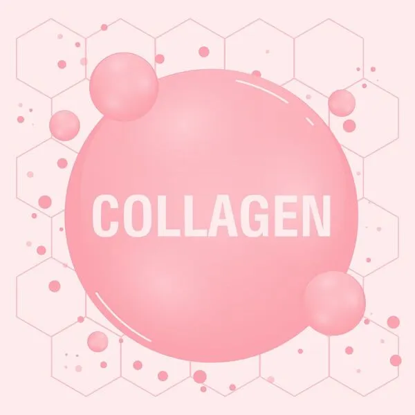 Best Collagen Supplements