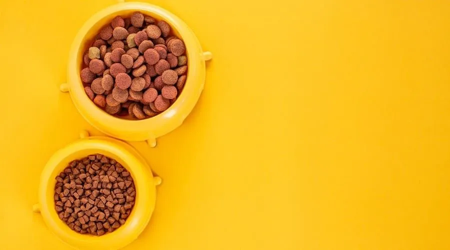 Best Dog Food
