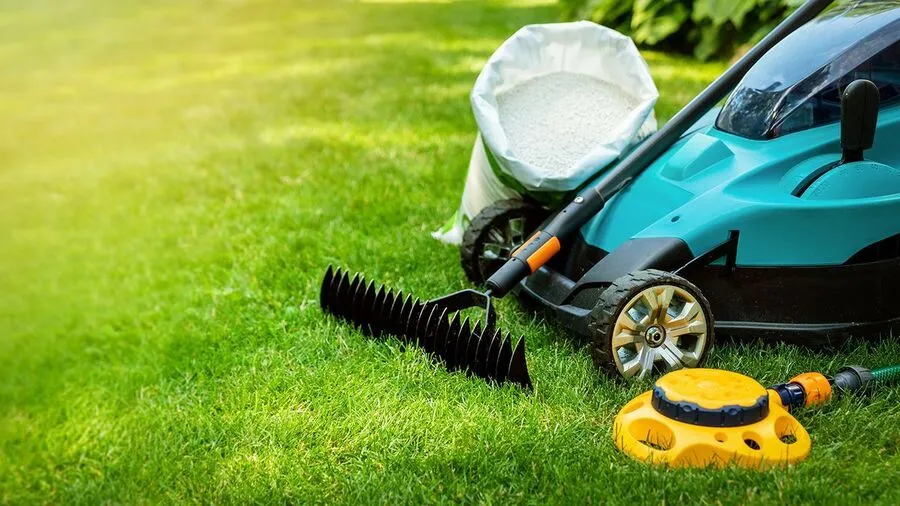 Best Electric Lawn Mover