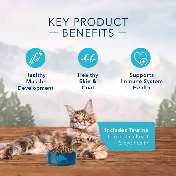 Blue Buffalo Wilderness High Protein Grain Free Dry Cat Food