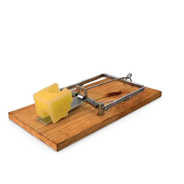 Cheese