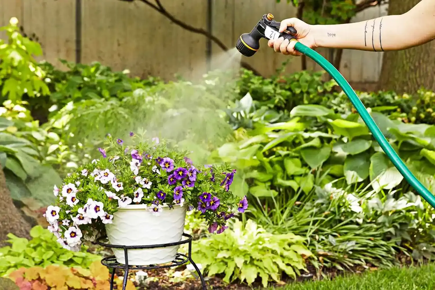 Best Garden Hose