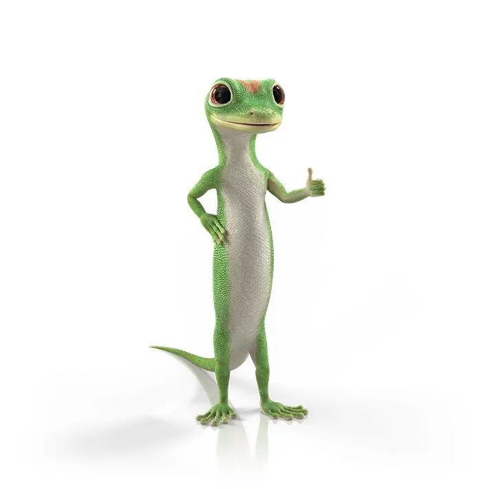 GEICO Auto Insurance