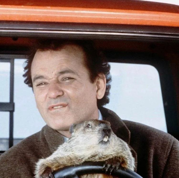 Bill Murray in Groundhog Day snow scene