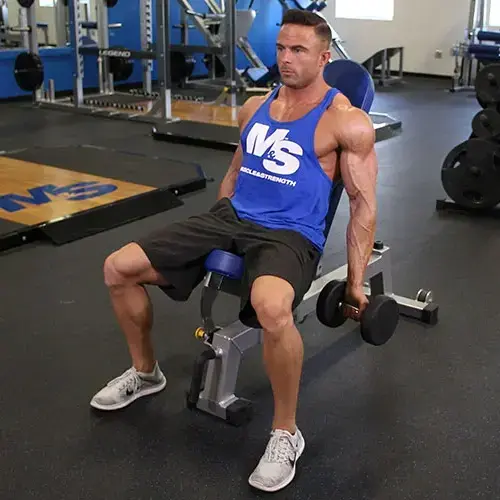 Incline Dumbbell Curl