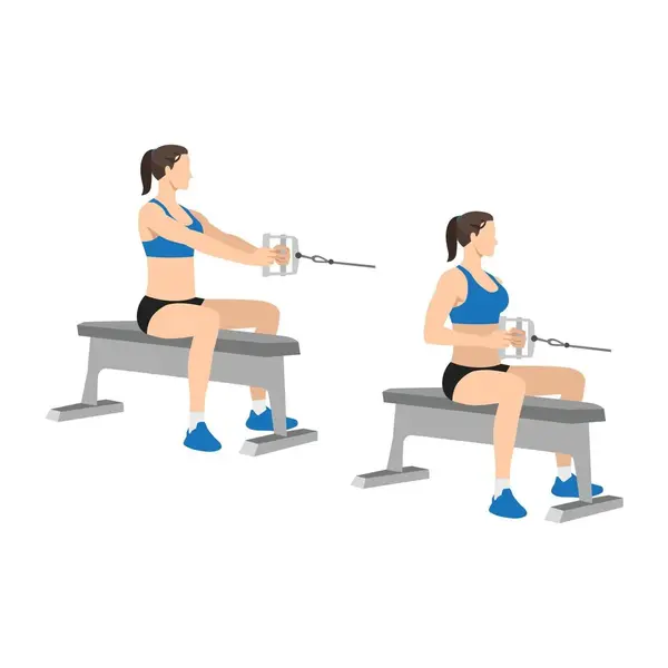 Middle Back Exercises