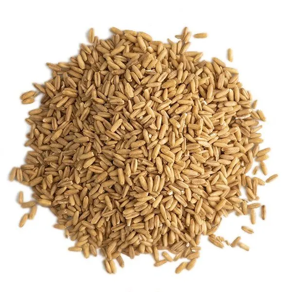 Oatmeal and Grains