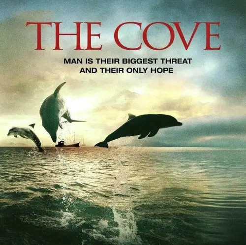 The Cove